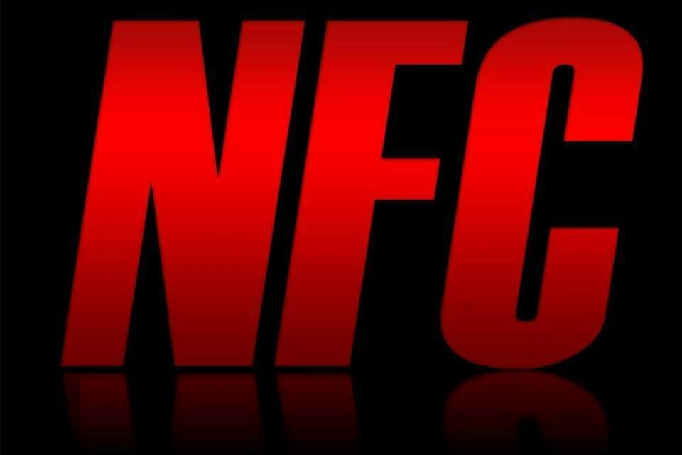 Hrvatska MMA organizacija “NFC” želi da organizuje revanš između Ćurkovića i Džankića!