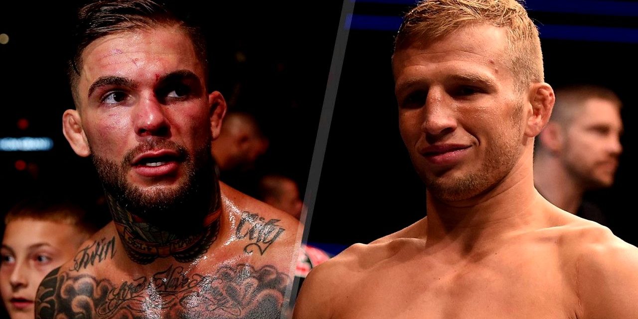 Dana White potvrdio Cody Garbrandt protiv TJ Dillashawa na UFC213!